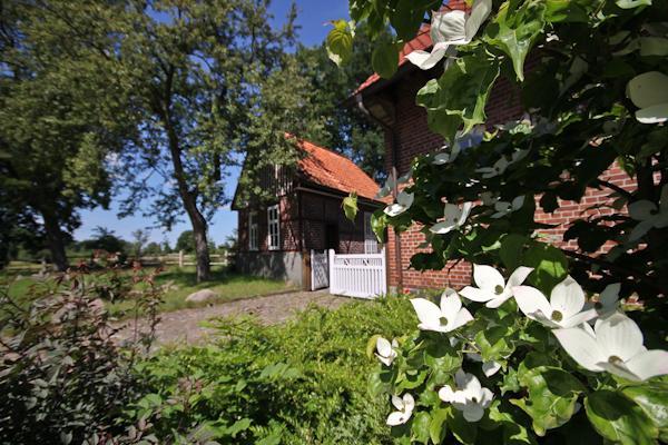 Landgasthof Zur Heideschenke Hotel Wolthausen ภายนอก รูปภาพ